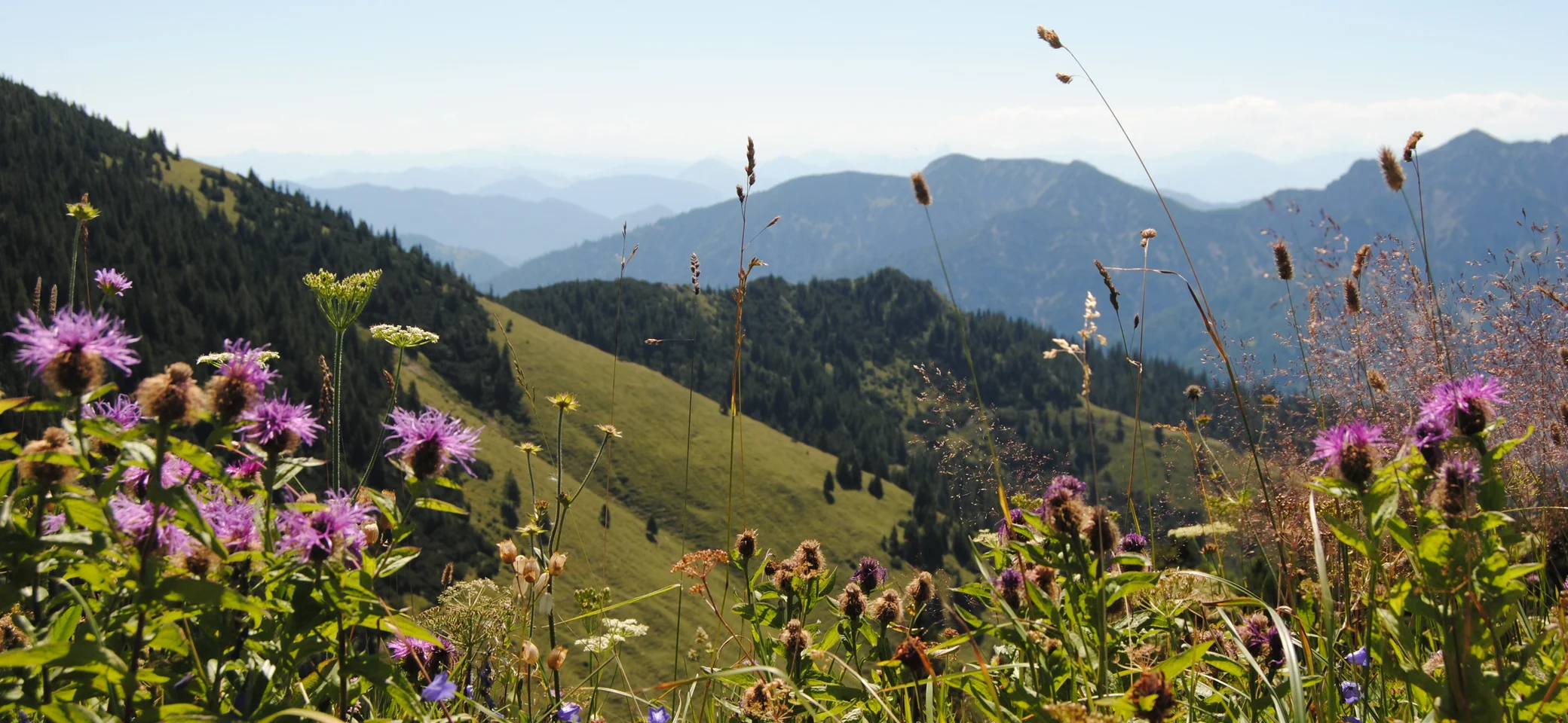 © DAV Gangkofer © DAV Gangkofer