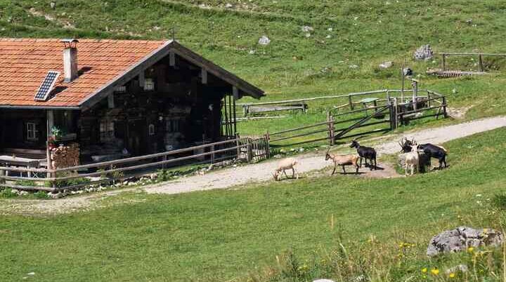 © (DAV Gangkofen) Pause mit Blick auf eine der Arzmoosalmen