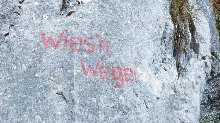 © (DAV Gangkofen) Klettertour Wiesenwegei © (DAV Gangkofen) Klettertour Wiesenwegei