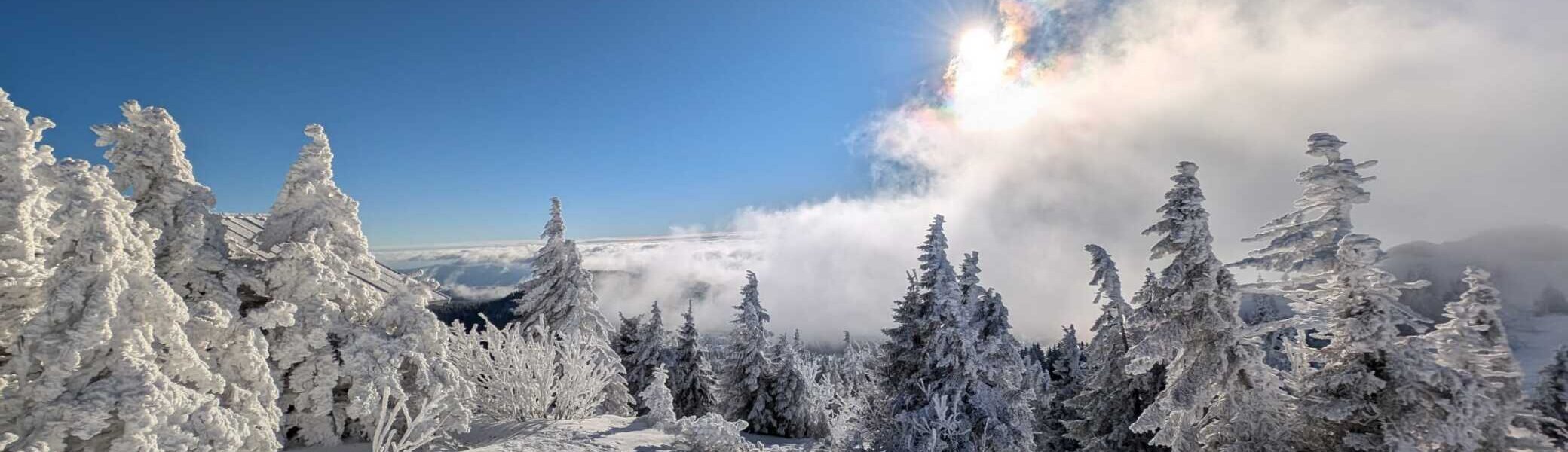 © „Bayerischer Wald vom feinsten“ – Martin Schmidt