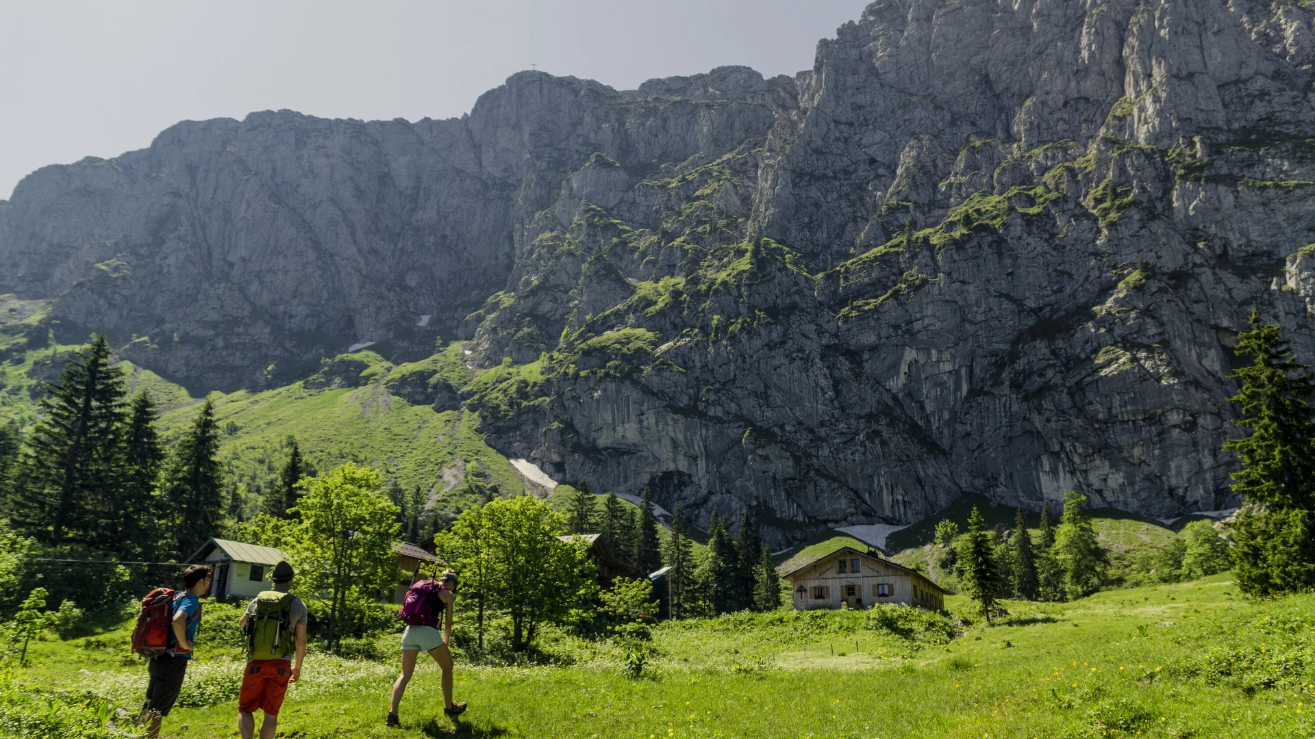 Wandern in den Chiemgauer Alpen | © DAV/Hans Herbig Drei Wanderer auf den grünen Berghängen der Chiemgauer Alpen | © DAV/Hans Herbig
